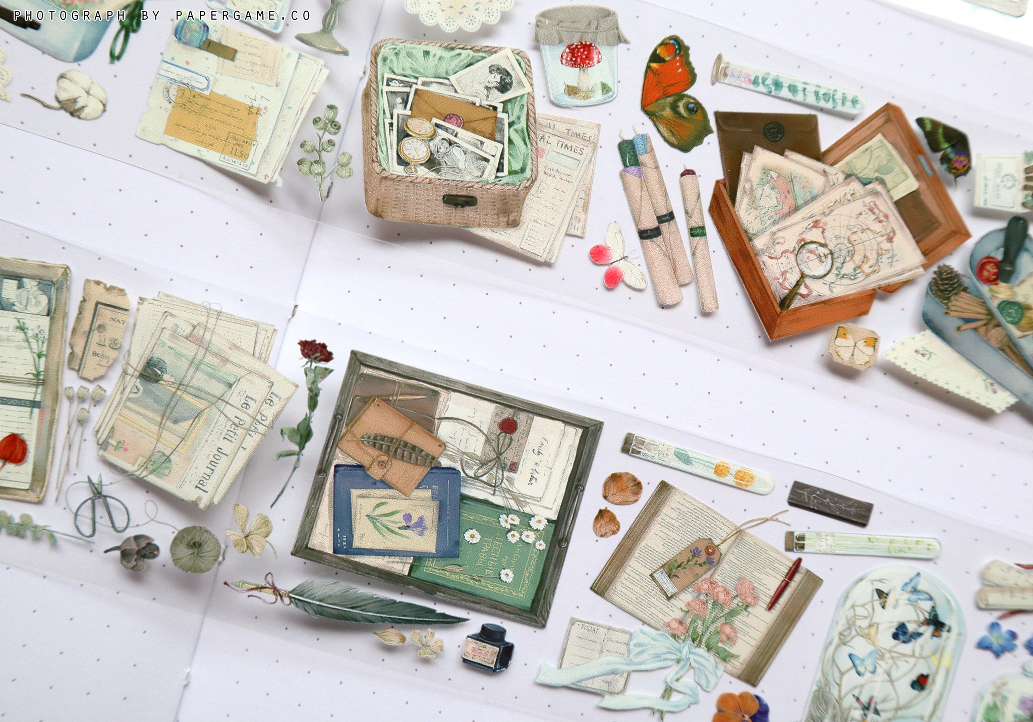 Warm Studio Masking Tape: My Collection