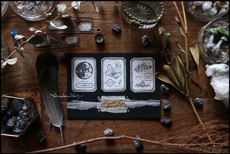 LCN Design Studio: Specimen Wooden Stamps Set