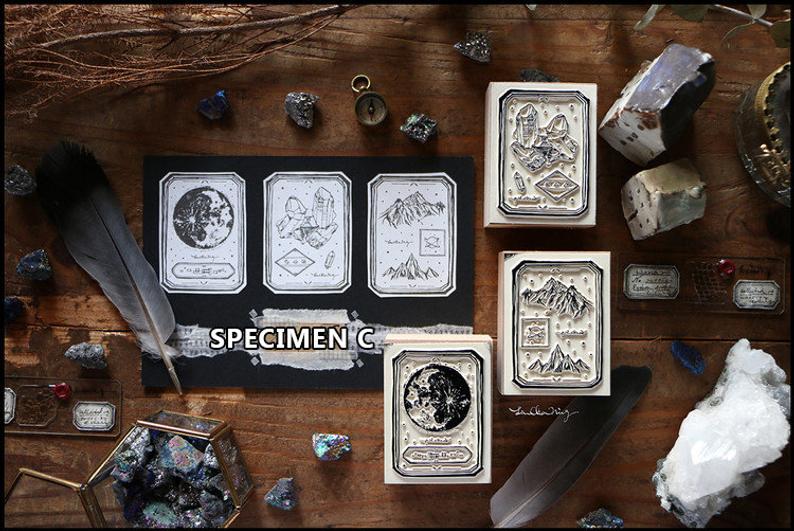 LCN Design Studio: Specimen Wooden Stamps Set