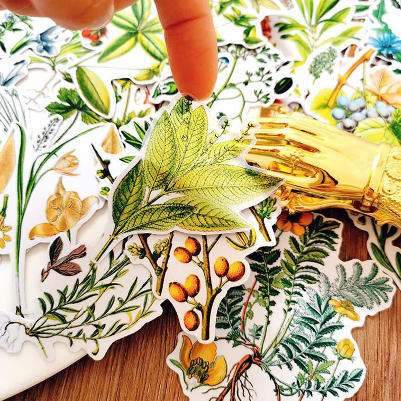 Botanical Illustration Stickers Pack