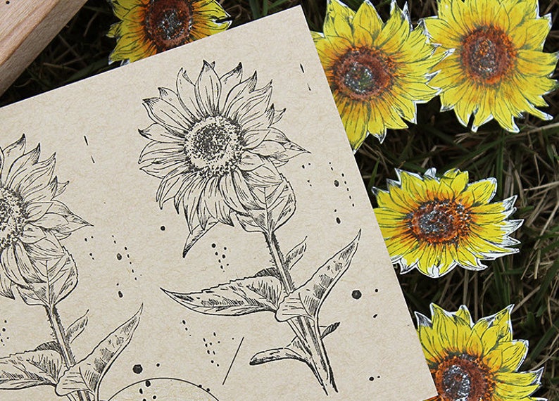 Botany Study Large Wooden Stamps