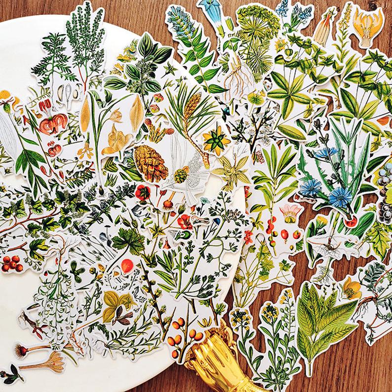 Botanical Illustration Stickers Pack
