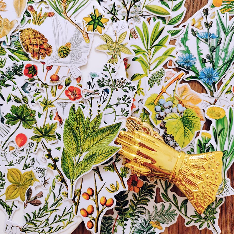 Botanical Illustration Stickers Pack