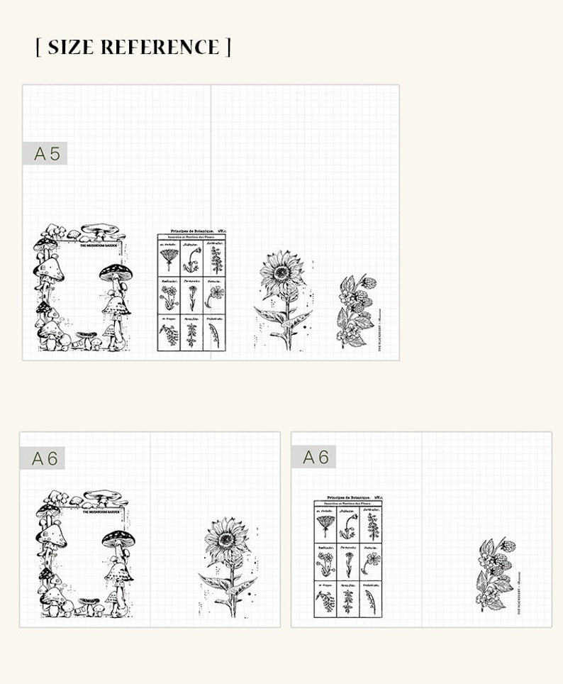 Botany Study Large Wooden Stamps