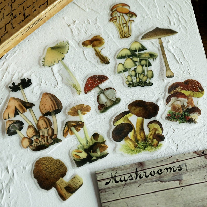 Translucent Mushroom Stickers