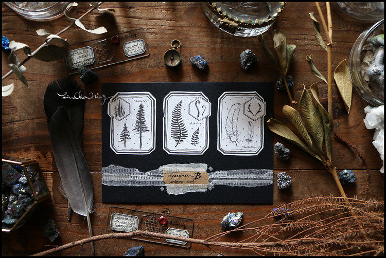 LCN Design Studio: Specimen Wooden Stamps Set
