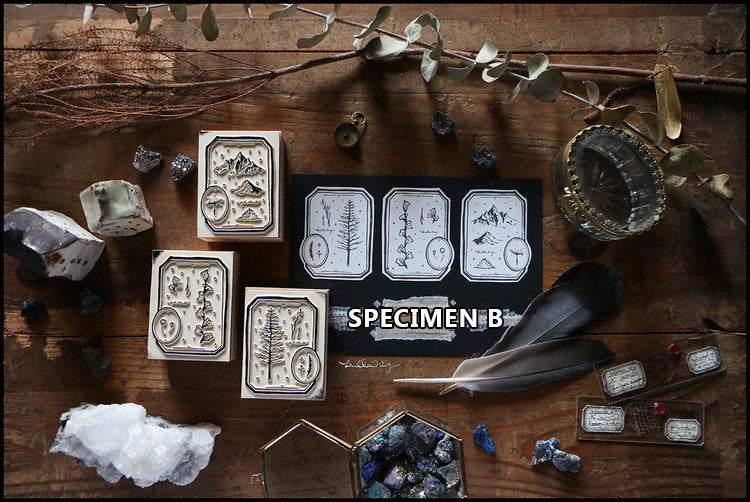 LCN Design Studio: Specimen Wooden Stamps Set