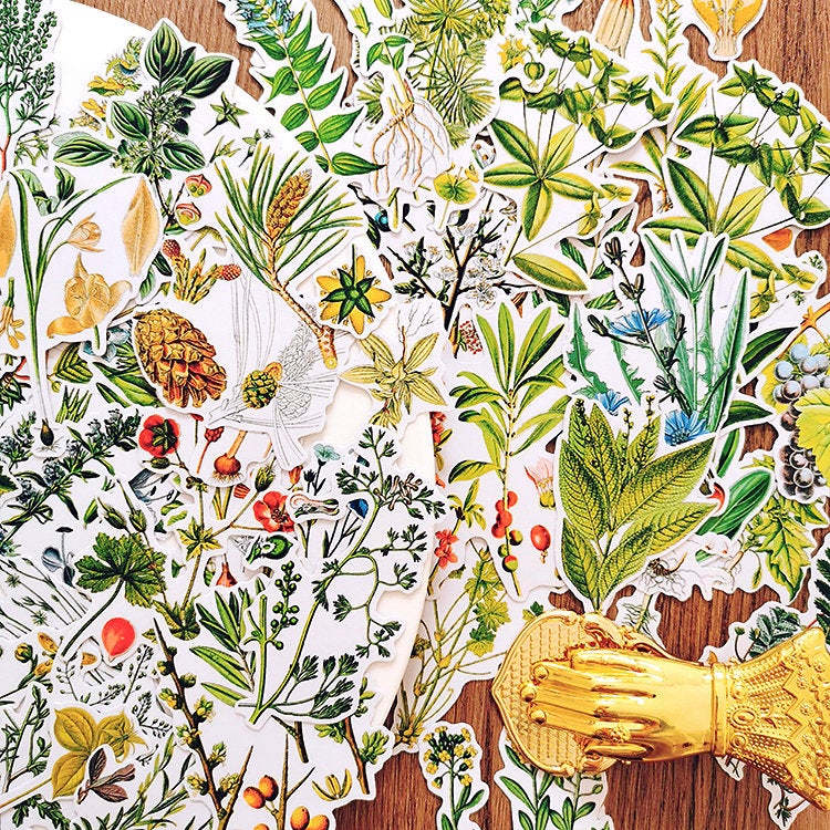 Botanical Illustration Stickers Pack