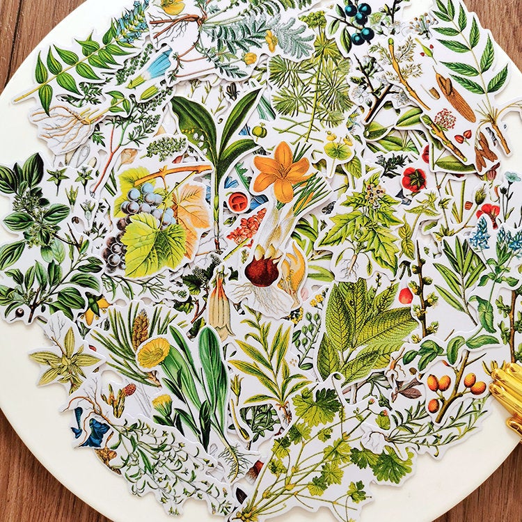 Botanical Illustration Stickers Pack