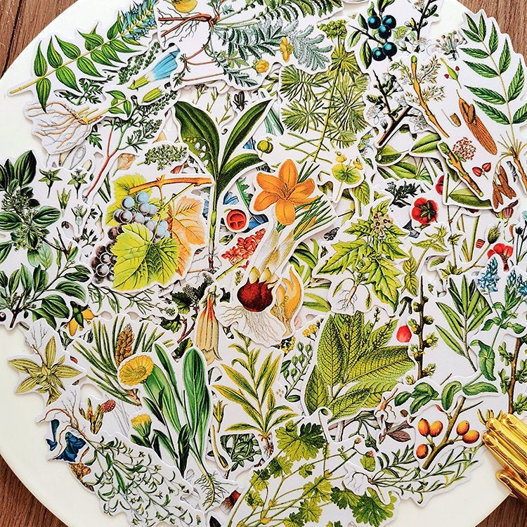 Botanical Illustration Stickers Pack