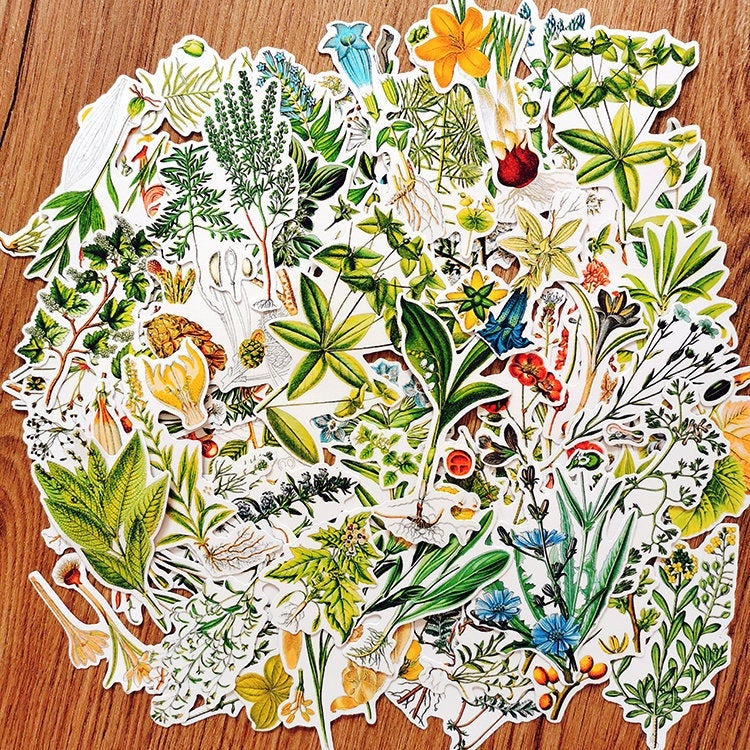 Botanical Illustration Stickers Pack