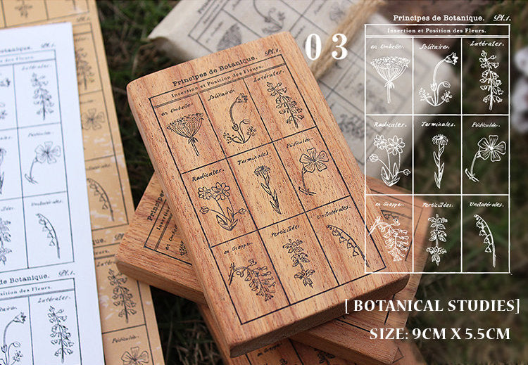 Botany Study Large Wooden Stamps