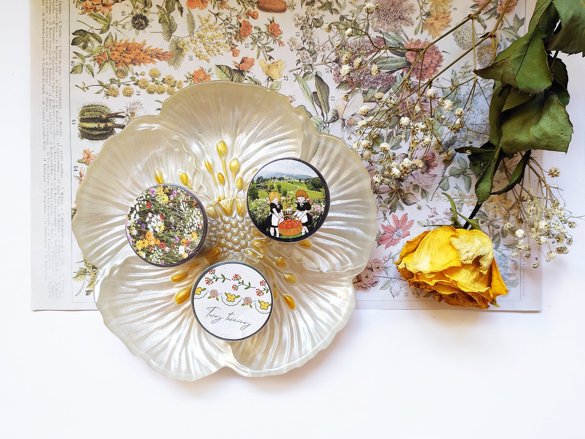 Picnic Garden Series Clear Tape