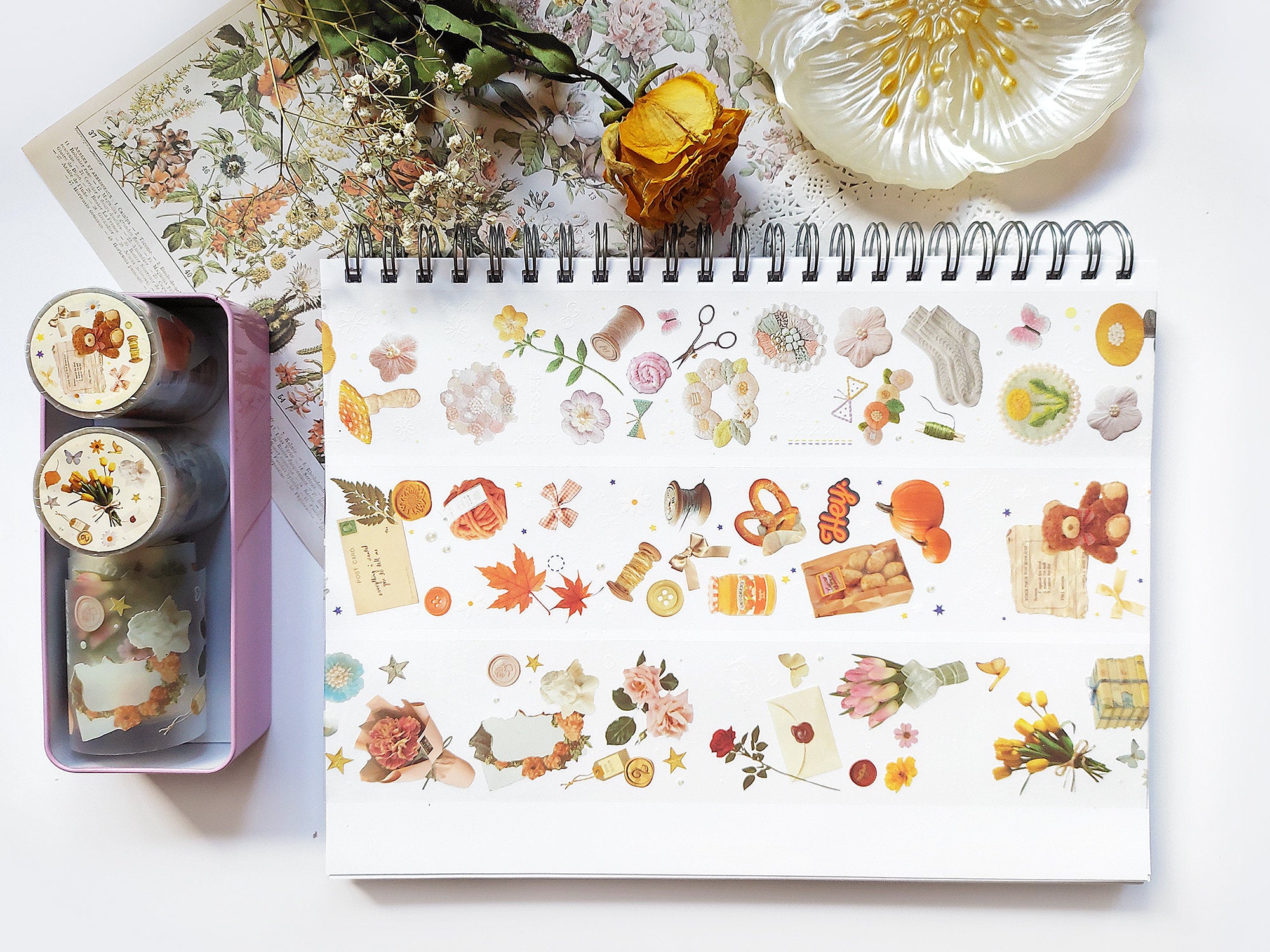 Treasure Chest Series Clear Tape