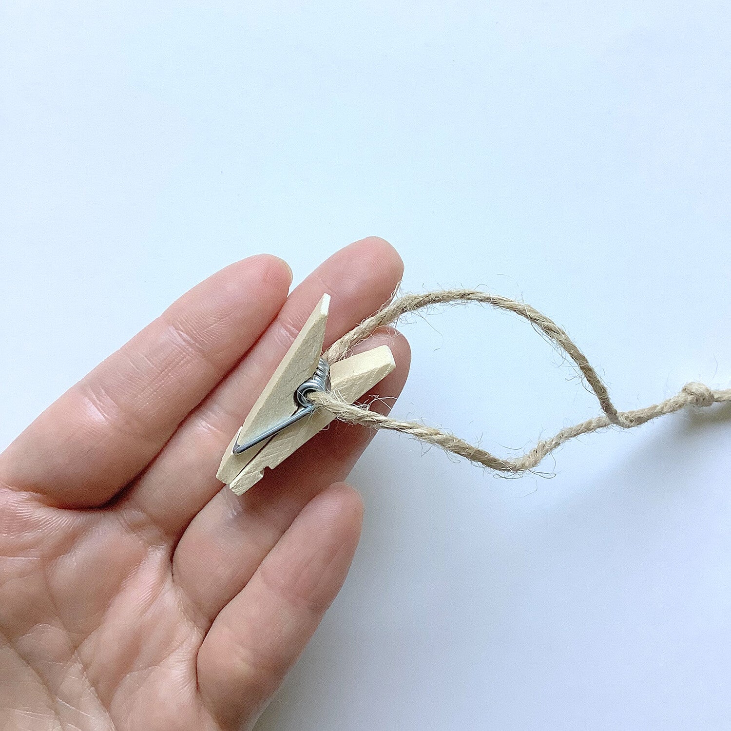 4Legs 2026 Calendar Cards: Cats