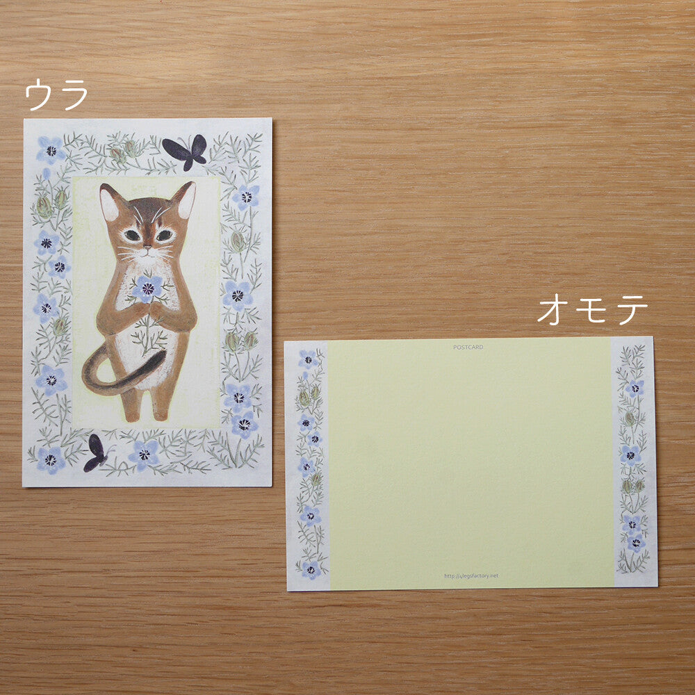 4Legs Postcard: Abyssinian Cat