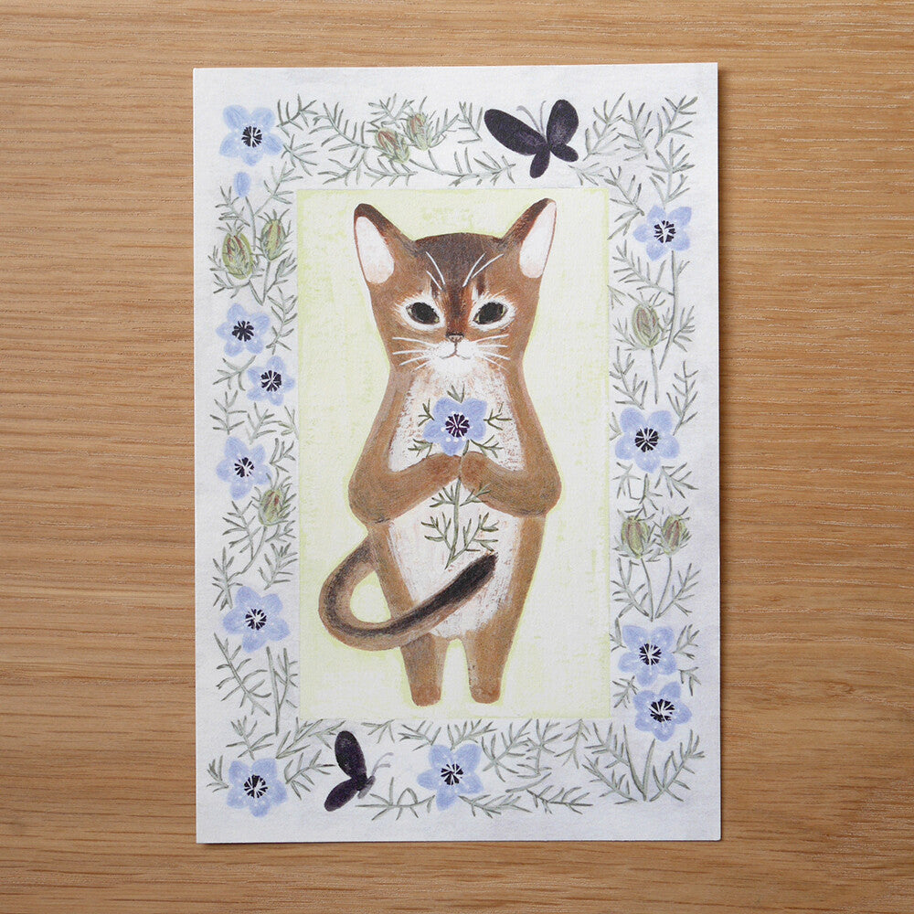 4Legs Postcard: Abyssinian Cat