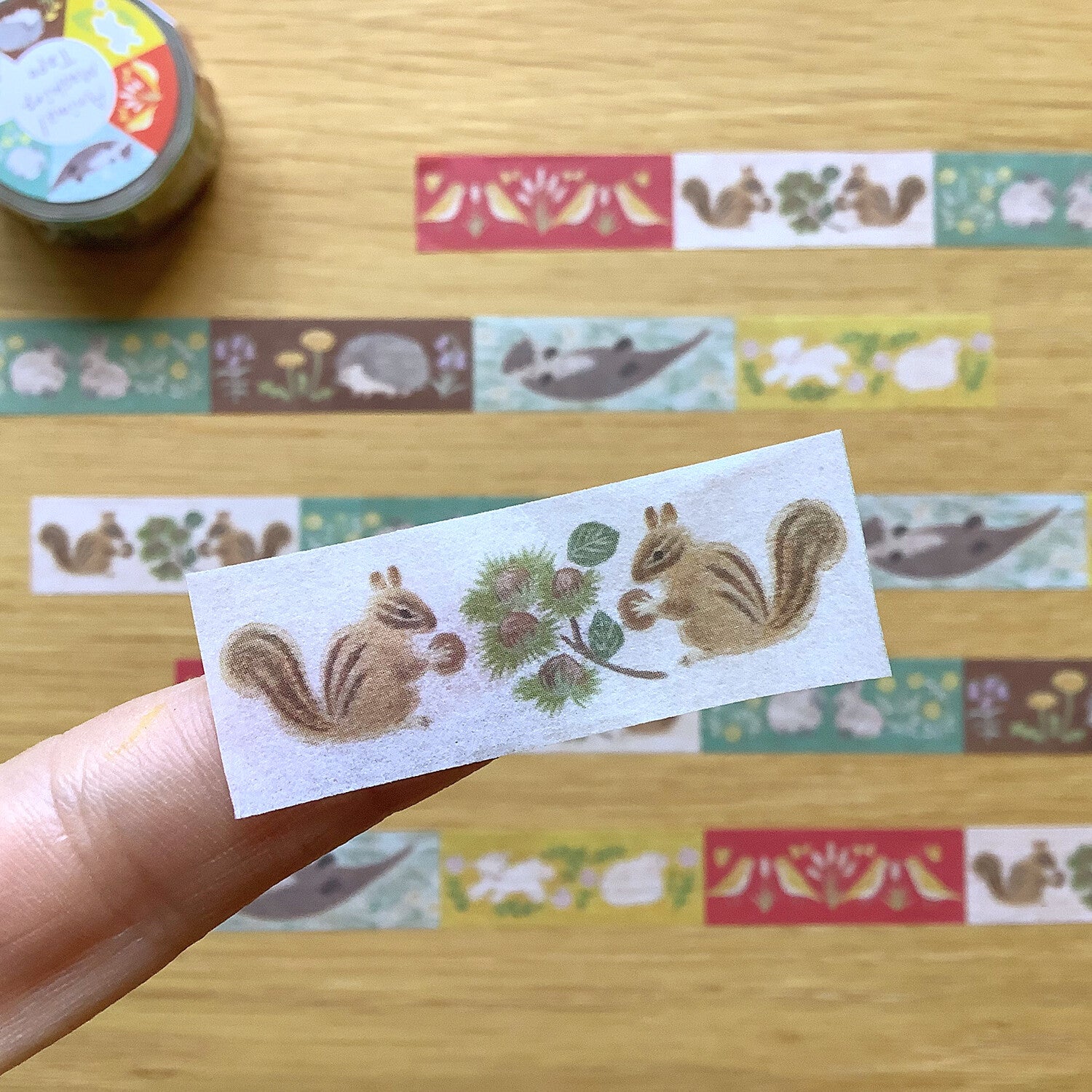 4Legs Washi Tape: Animal