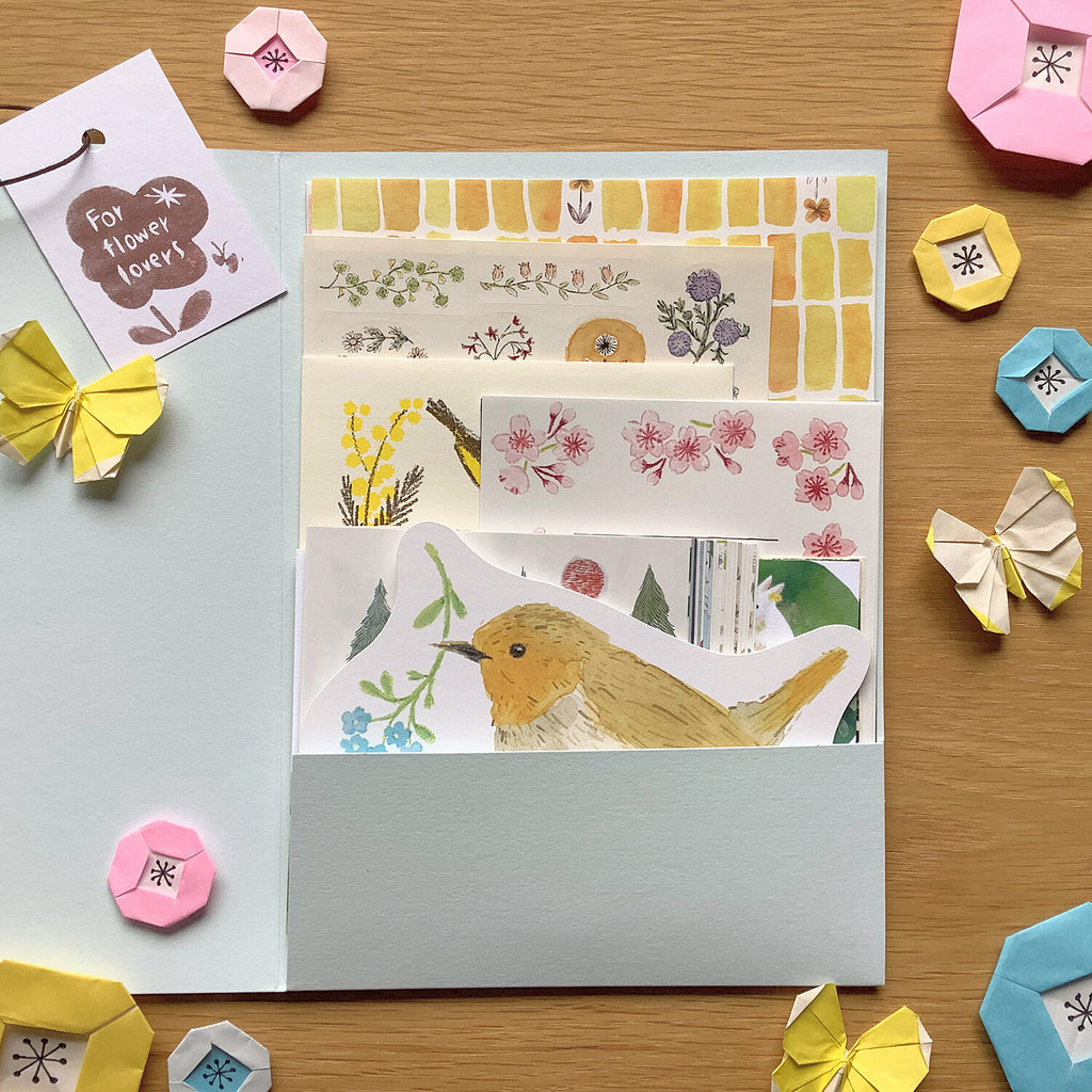 4Legs Paper Pack: Birds