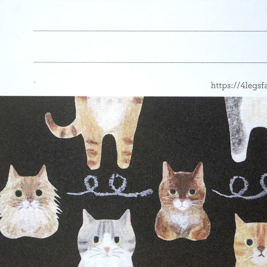 4Legs Letter Set: Cat Connections
