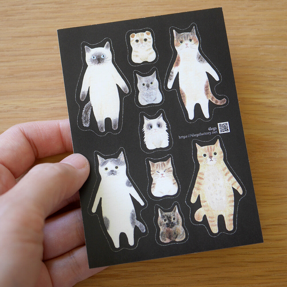 4Legs Letter Set: Cat Connections