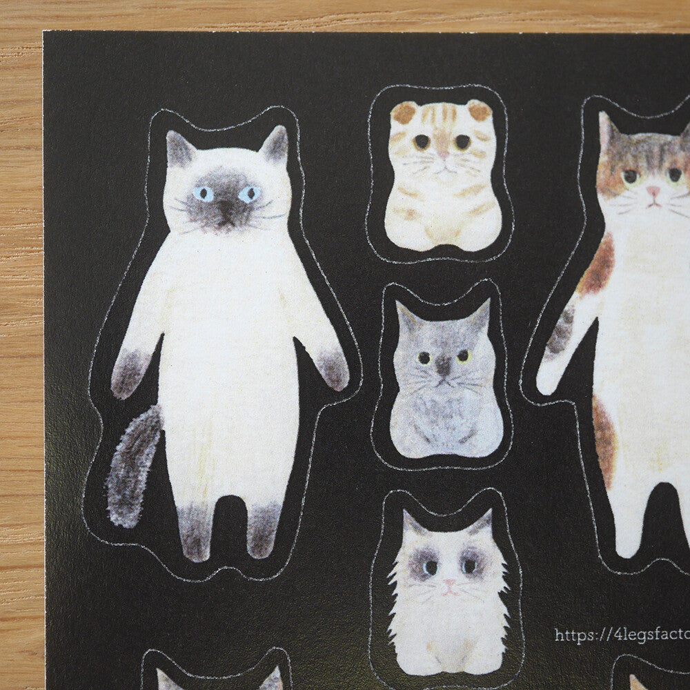 4Legs Letter Set: Cat Connections
