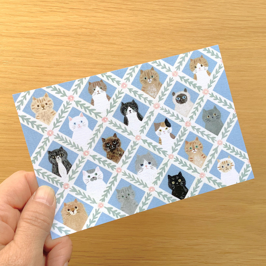 4Legs Postcard: Cat Faces