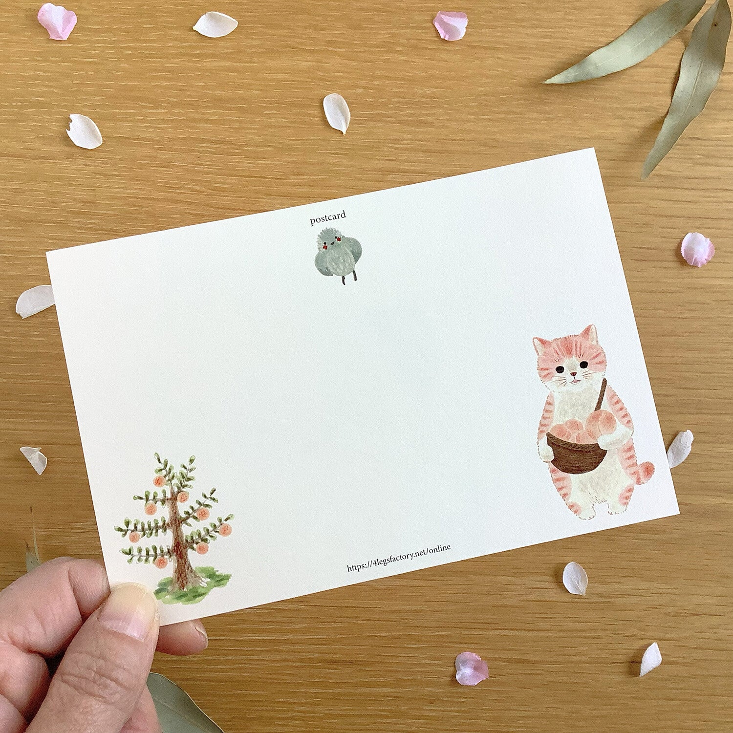 4Legs Postcard: Cat In A Picture Book #13 Momotora