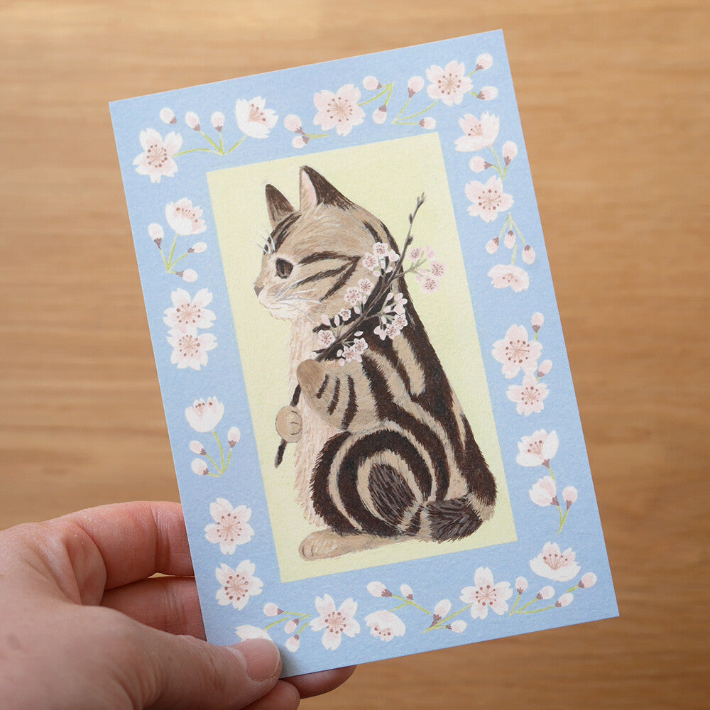 4Legs Postcard: Cat and Cherry Blossom