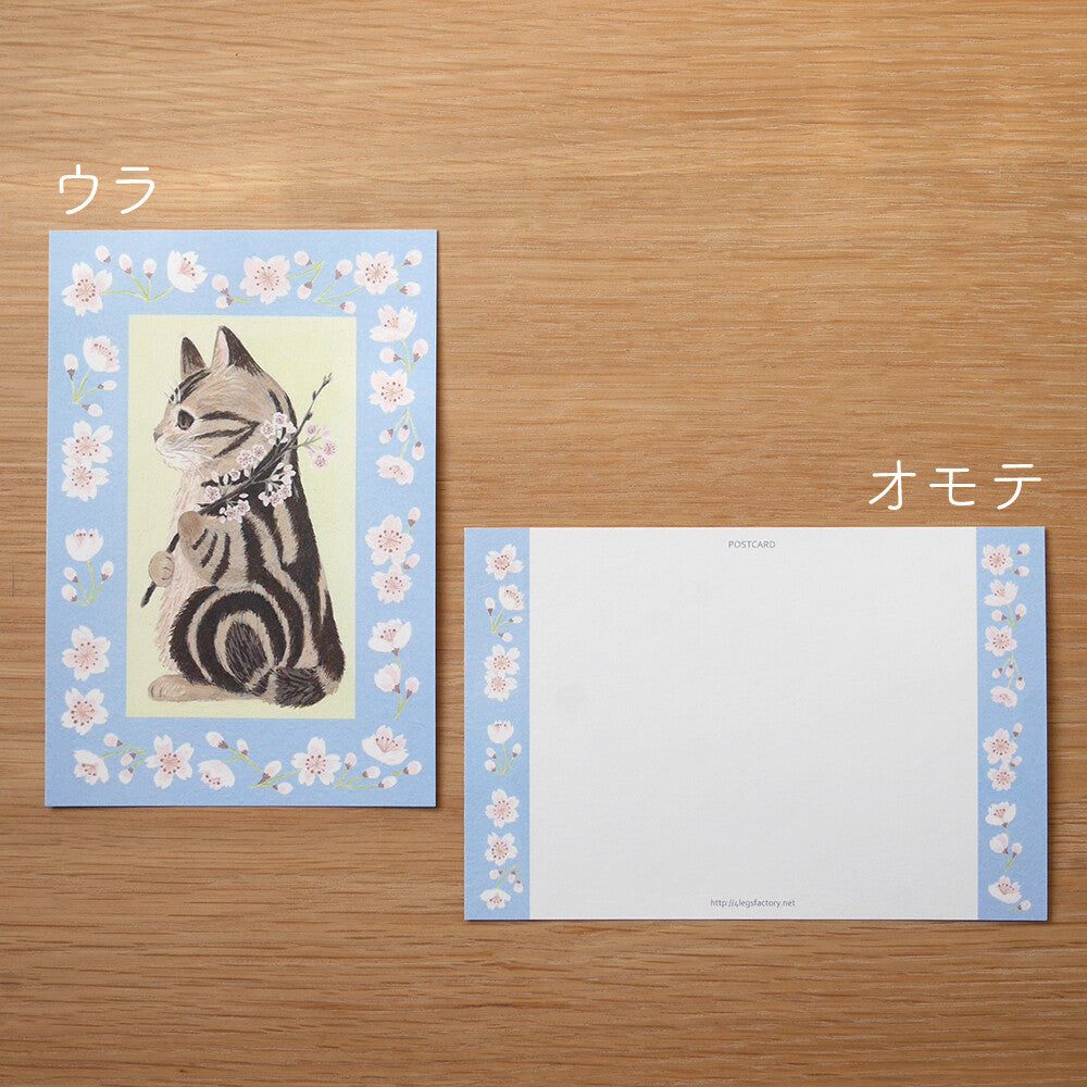 4Legs Postcard: Cat and Cherry Blossom