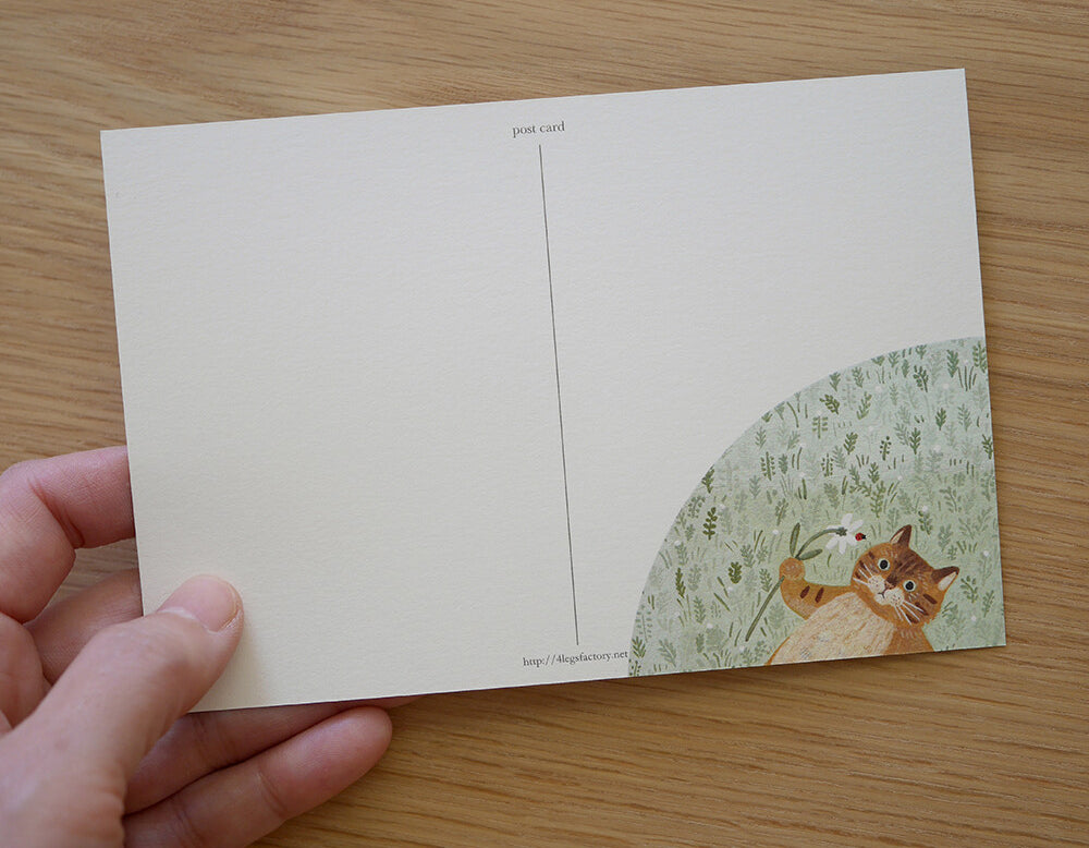 4Legs Postcard: Cat in Grass Field