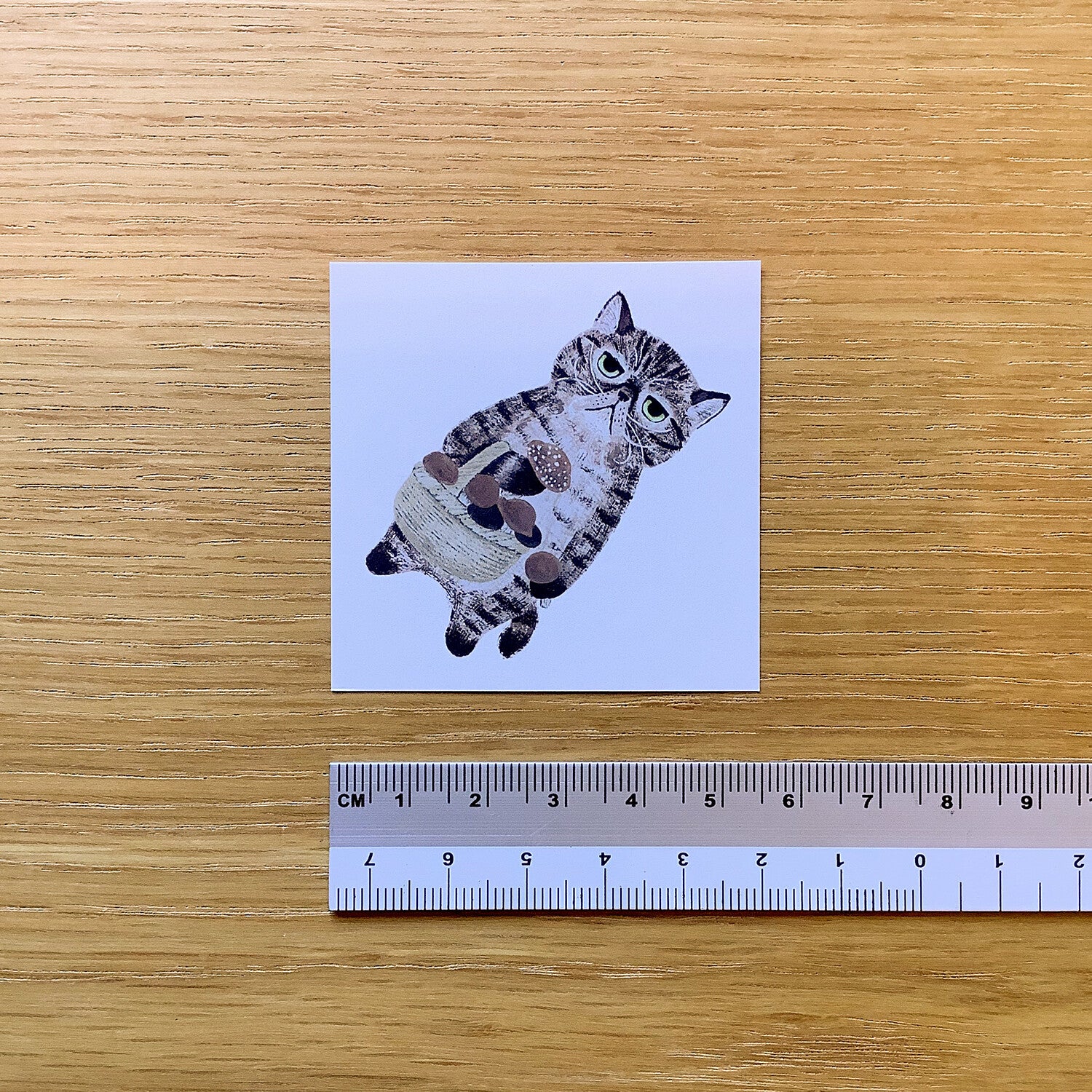 4Legs Tiny Letter Paper: Cats