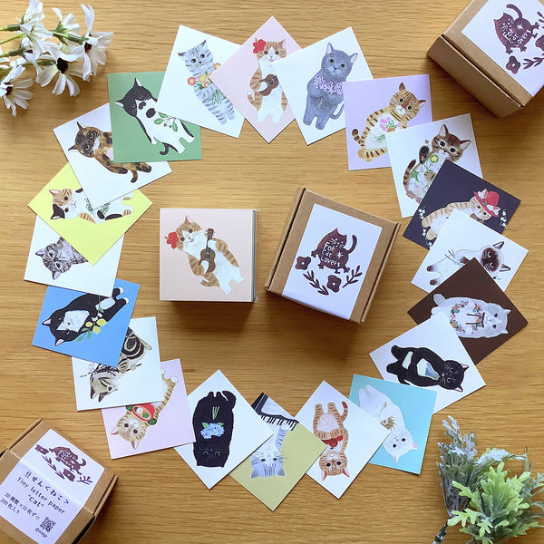 4Legs Tiny Letter Paper: Cats