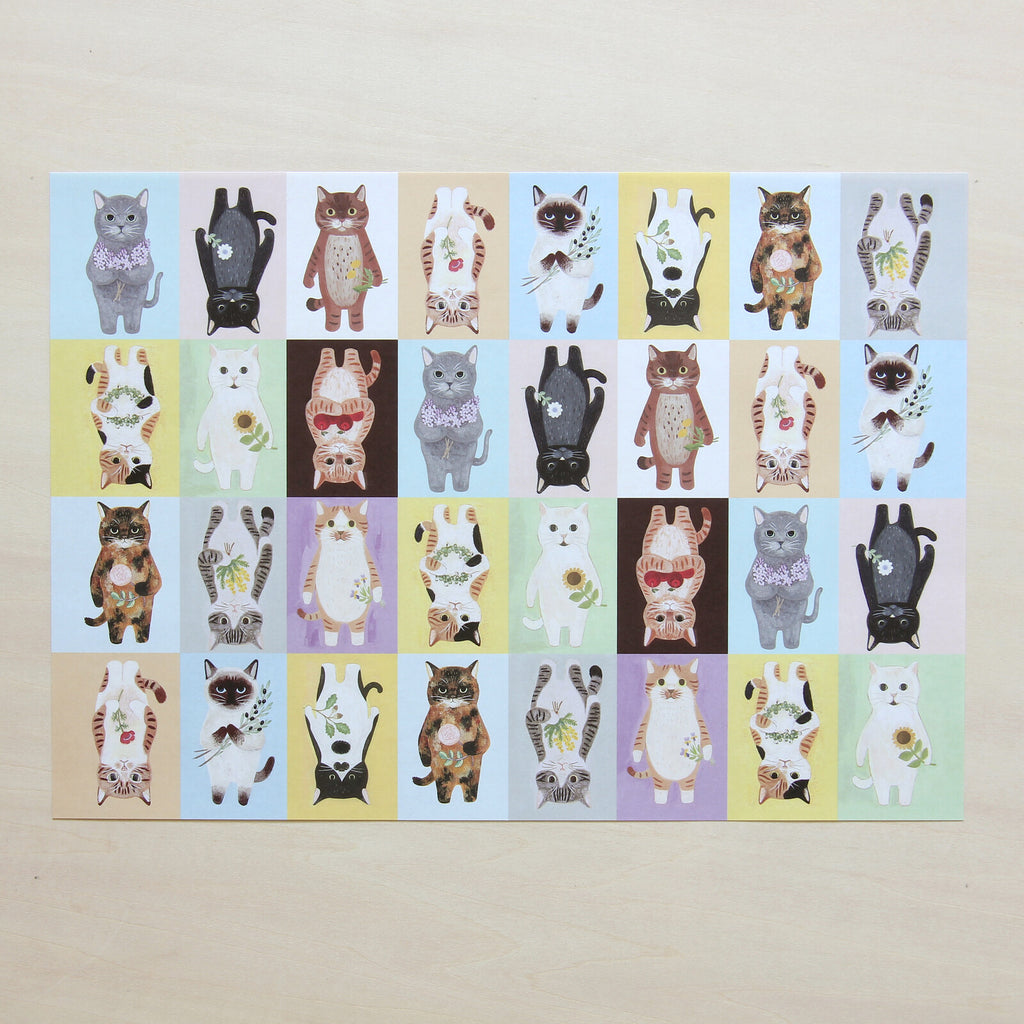4Legs Wrapping Paper: Cats in a Picture Book (Color Block Version)