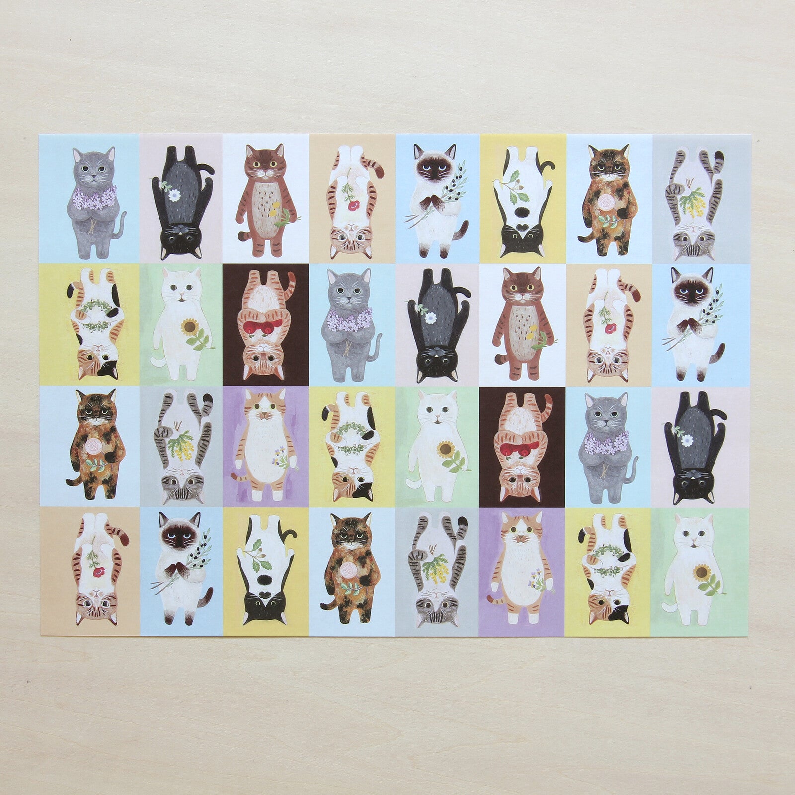 4Legs Wrapping Paper: Cats in a Picture Book (Color Block Version)