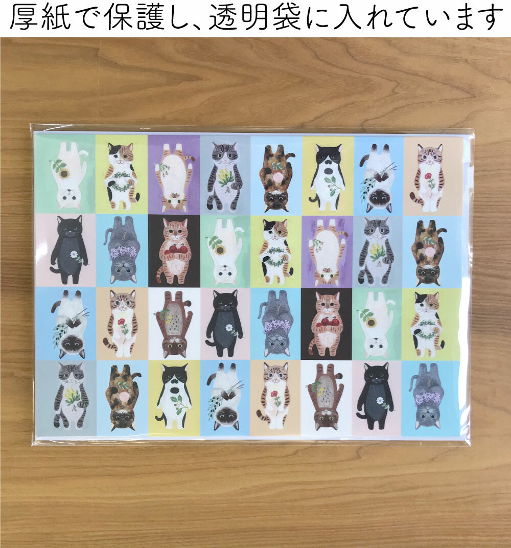 4Legs Wrapping Paper: Cats in a Picture Book (Color Block Version)