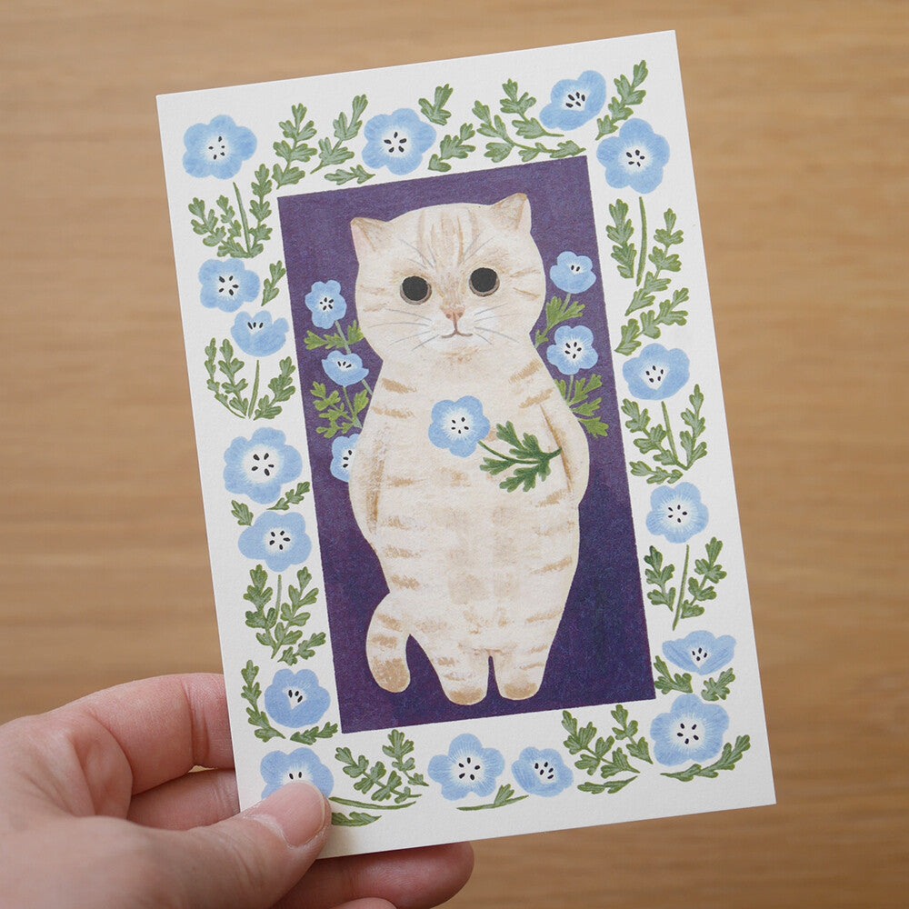 4Legs Postcard: Cream Kitten