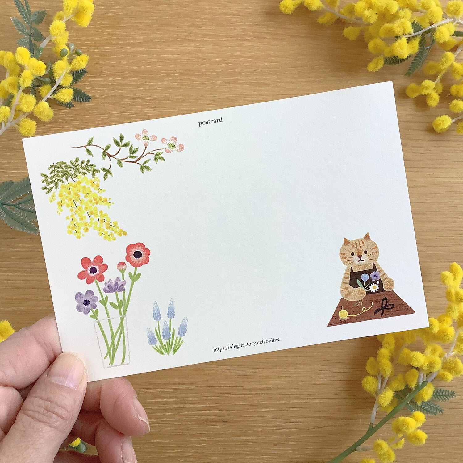 4Legs Postcard: Flower Shop Cat