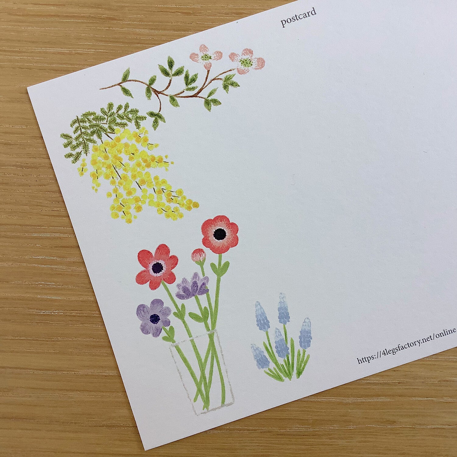 4Legs Postcard: Flower Shop Cat