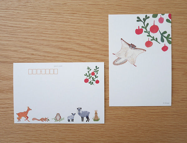 4Legs Postcard: Flying Squirrel