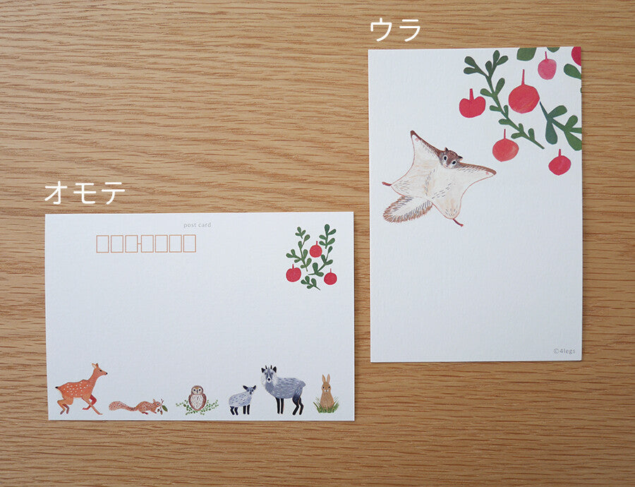 4Legs Postcard: Flying Squirrel