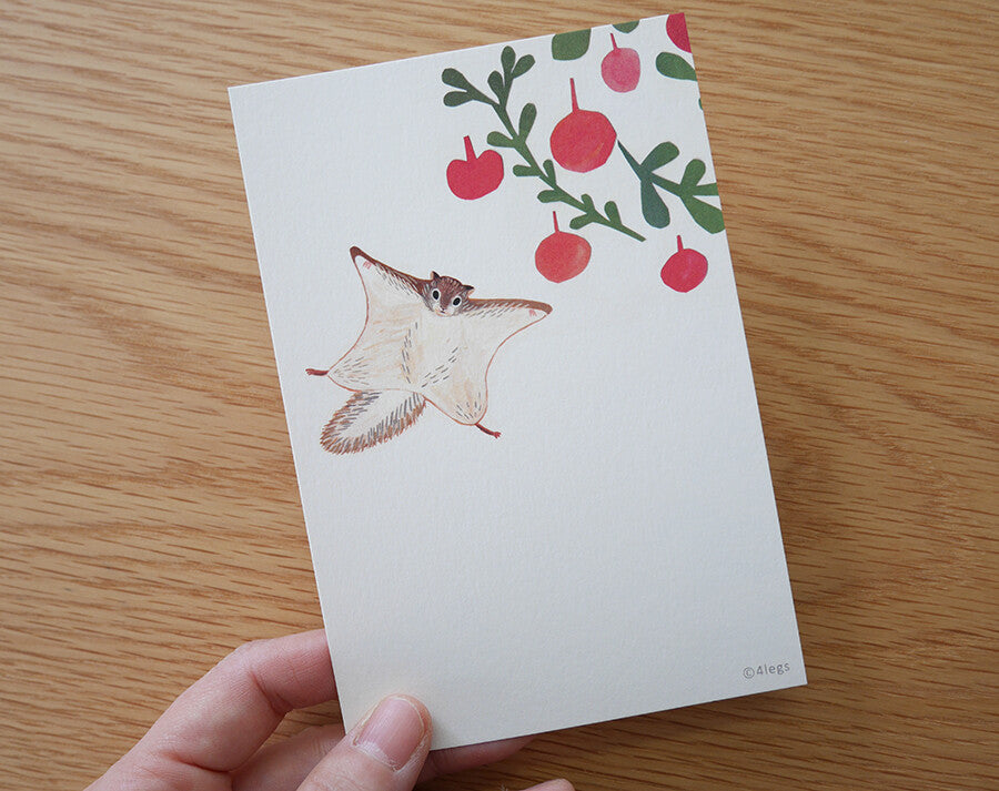 4Legs Postcard: Flying Squirrel