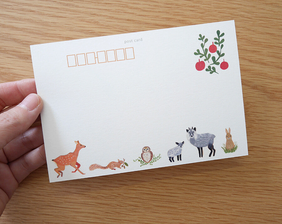 4Legs Postcard: Flying Squirrel