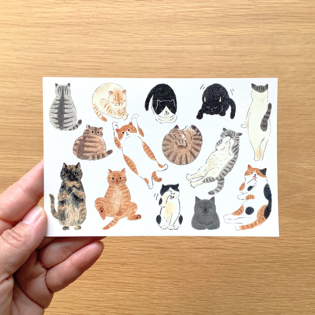 4Legs Postcard: I Love Cats