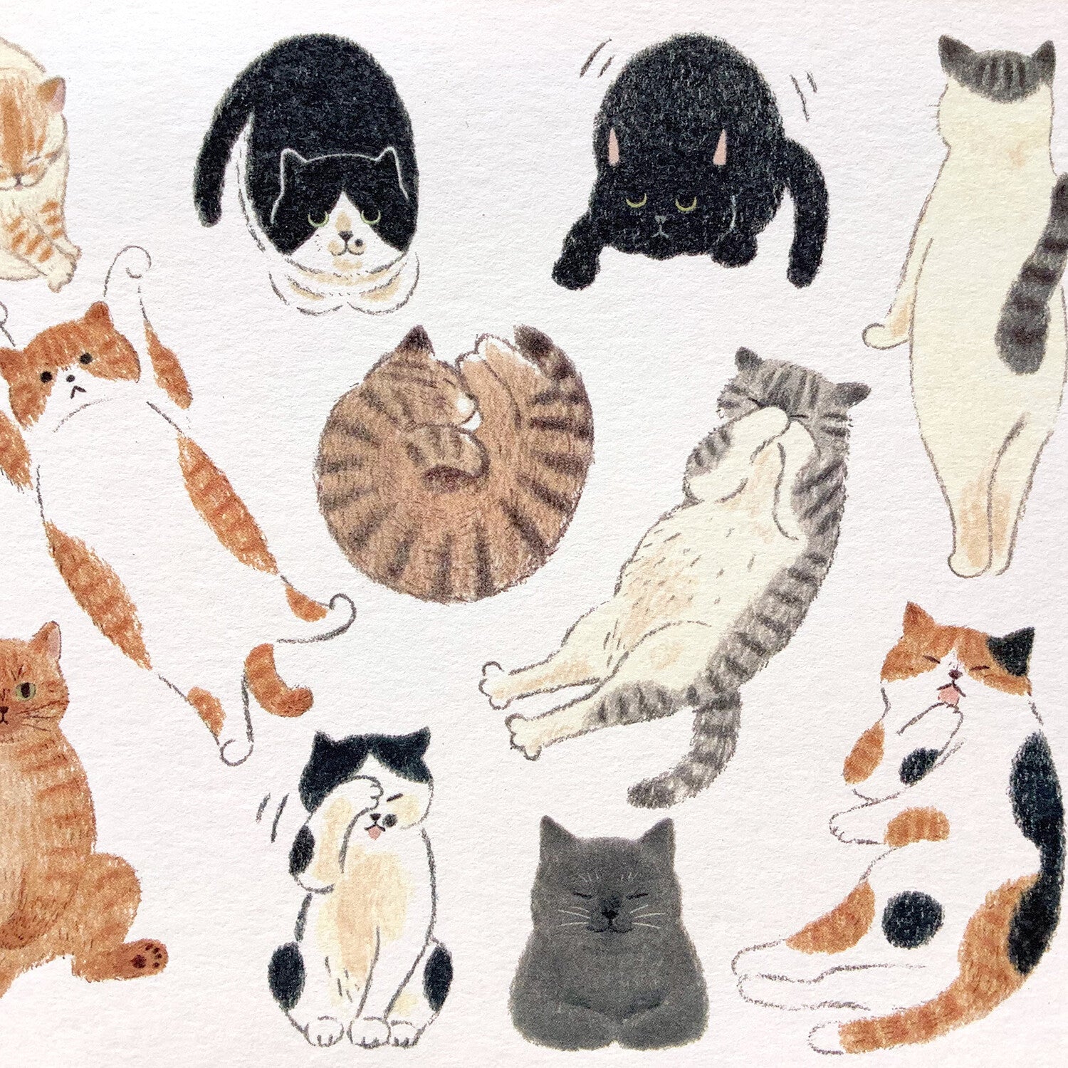 4Legs Postcard: I Love Cats