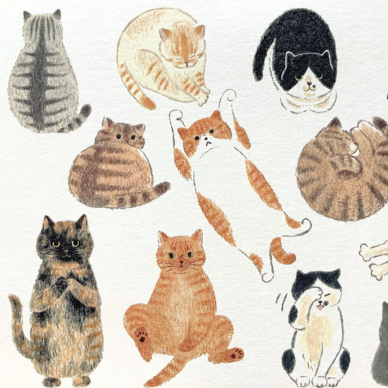 4Legs Postcard: I Love Cats