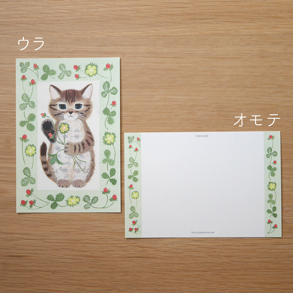 4Legs Postcard: Kitten