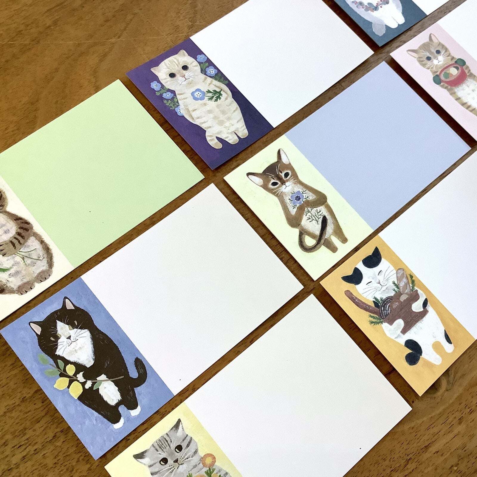 4Legs Greeting Cards: Cats