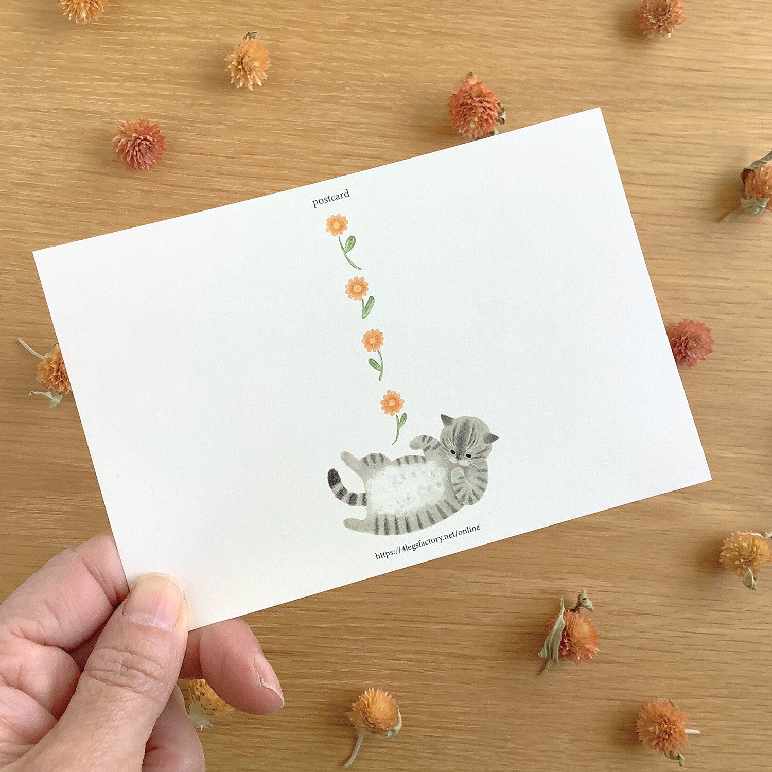 4Legs Postcard: Licking Paws