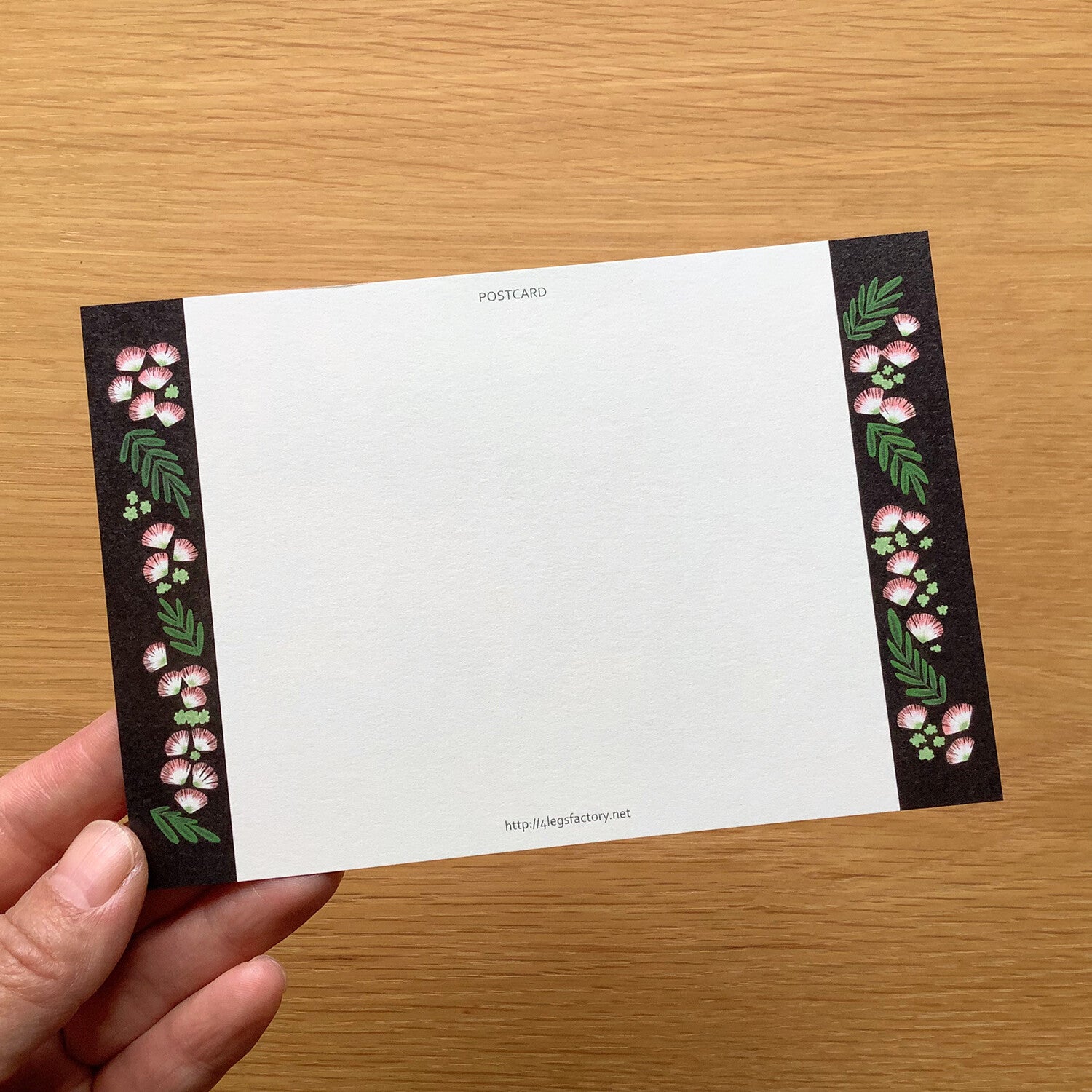 4Legs Postcard: Norwegian Cat Reading a Book